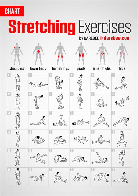 Basic Training Exercises